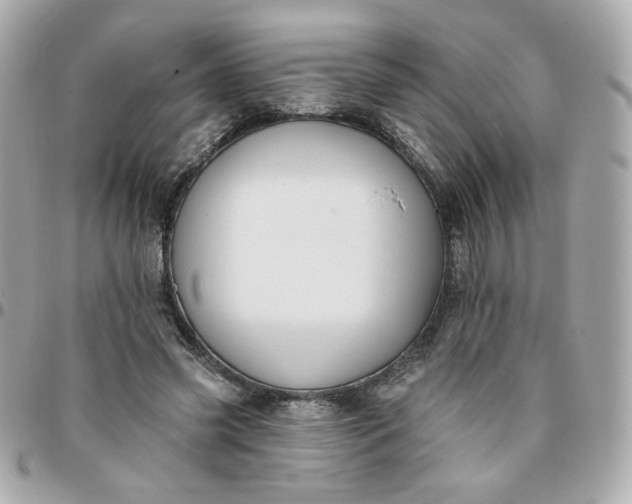 X0000096210541200802011323