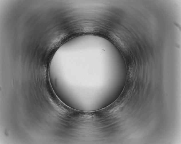 X0000096210542200802011323