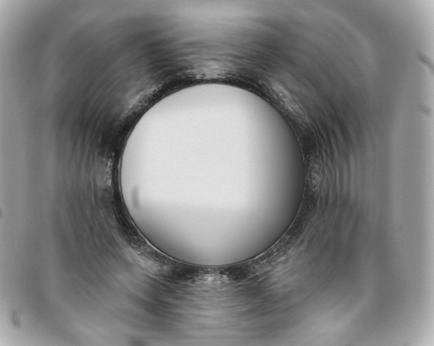 X0000096210543200802011323