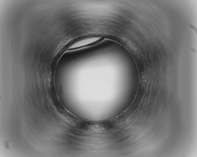 X0000096210544200802011323