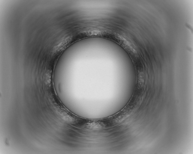 X0000096210545200802011323