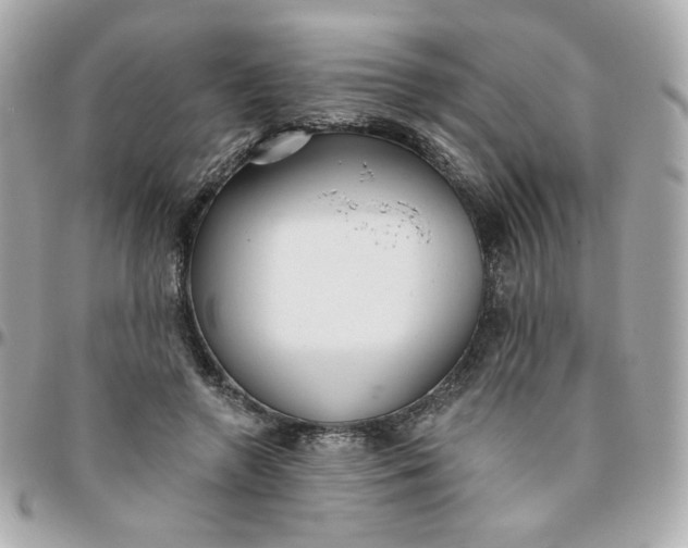 X0000096210546200802011323