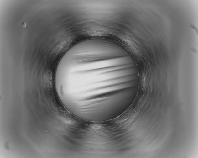 X0000096210547200802011323