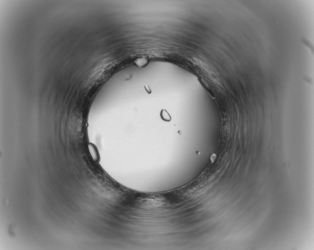 X0000096210548200802011323