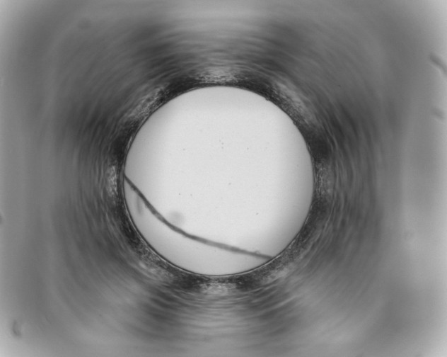 X0000096210549200802011323