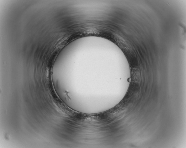 X0000096210550200802011323