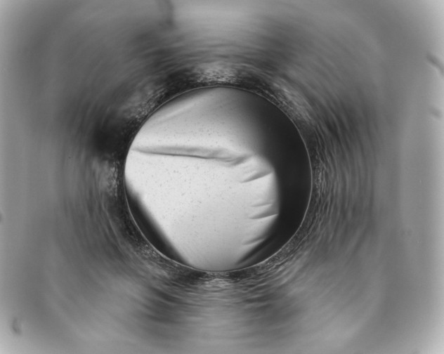 X0000096210551200802011323