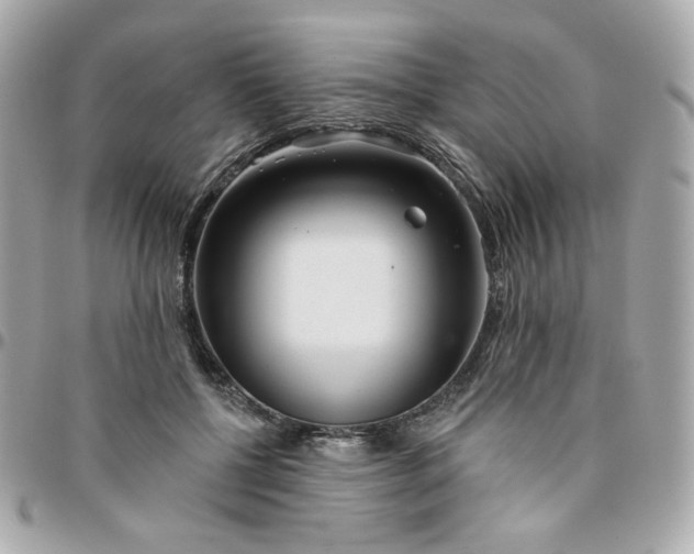 X0000096210552200802011323