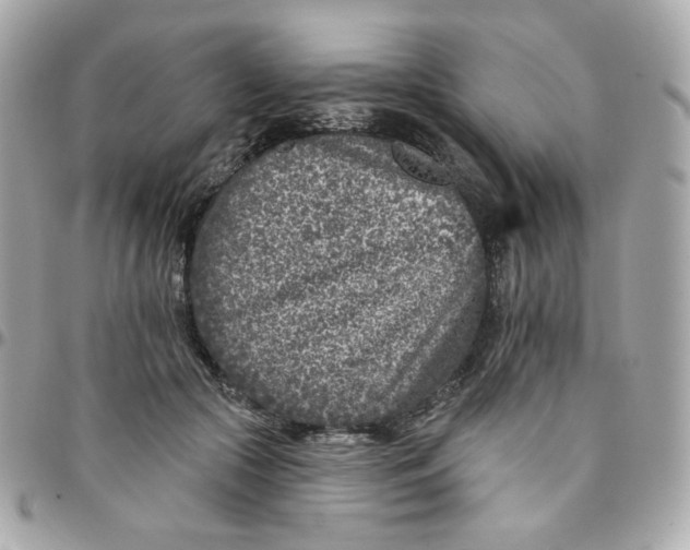 X0000096210553200802011323