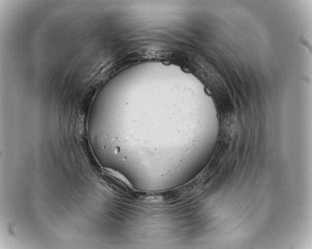 X0000096210554200802011323