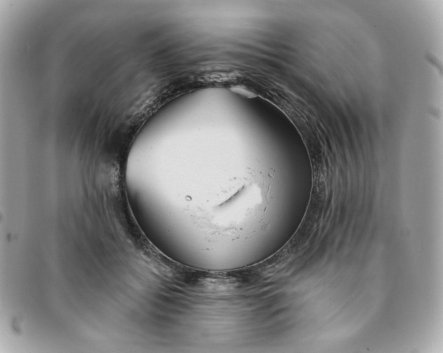 X0000096210556200802011323