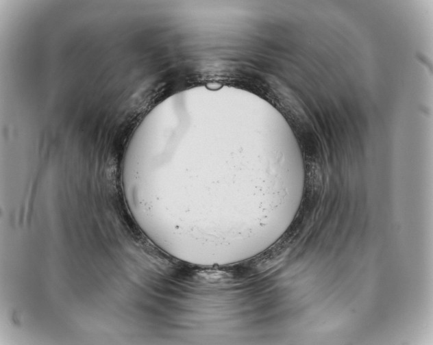 X0000096210557200802011323