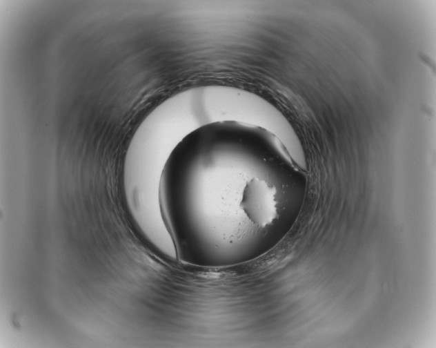 X0000096210558200802011323