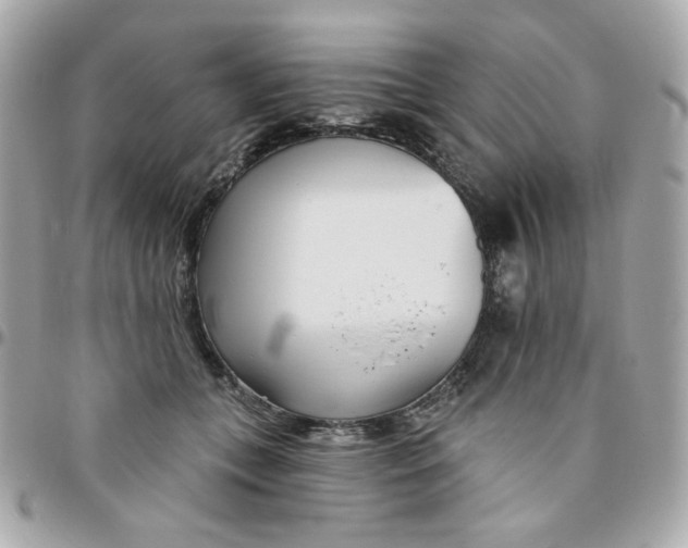 X0000096210559200802011323