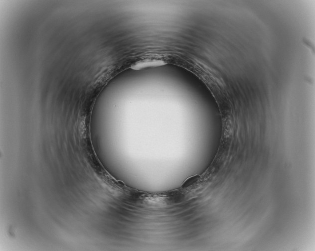 X0000096210560200802011323