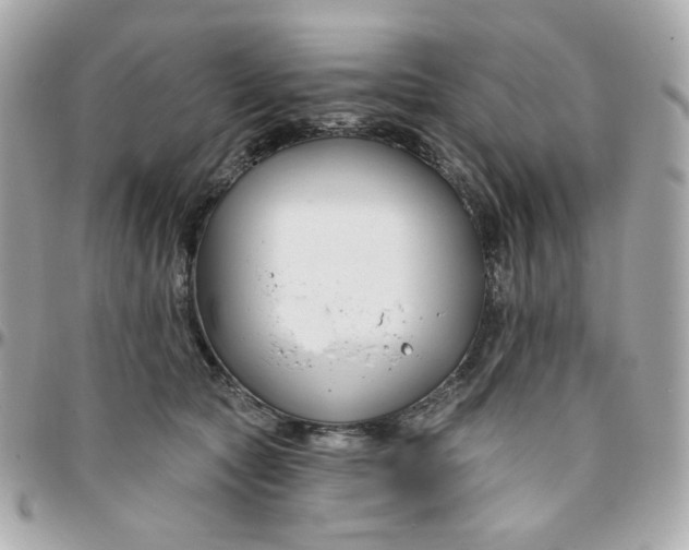 X0000096210561200802011323