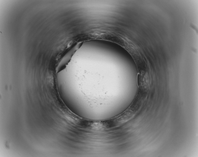 X0000096210562200802011323