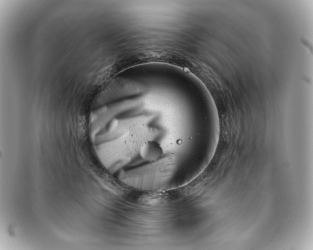 X0000096210563200802011323