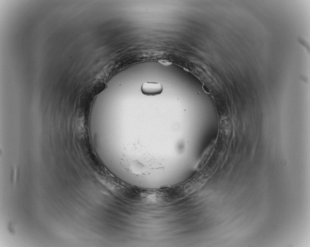 X0000096210564200802011323