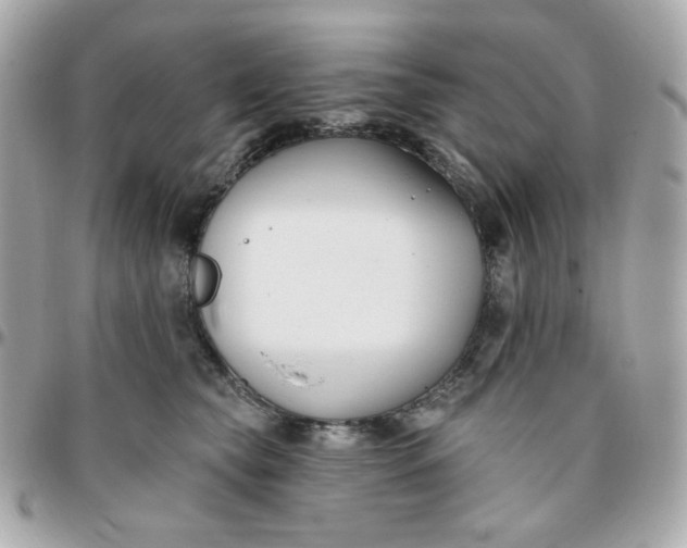 X0000096210565200802011323