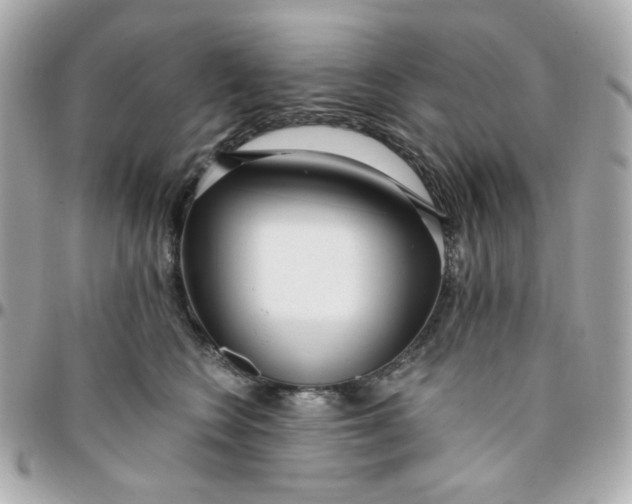 X0000096210566200802011323