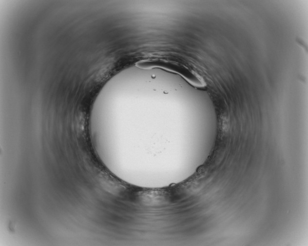 X0000096210567200802011323