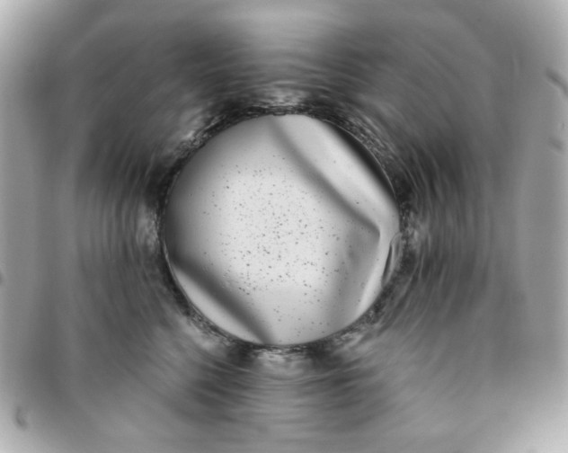 X0000096210568200802011323