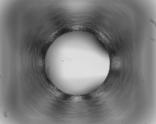 X0000096210569200802011323