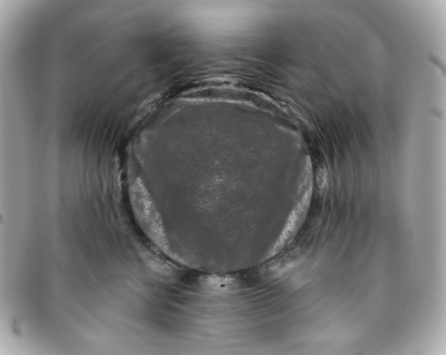 X0000096210570200802011324