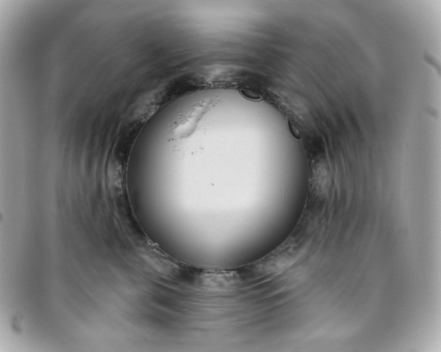 X0000096210571200802011324