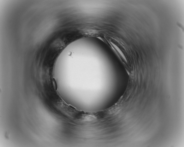 X0000096210572200802011324