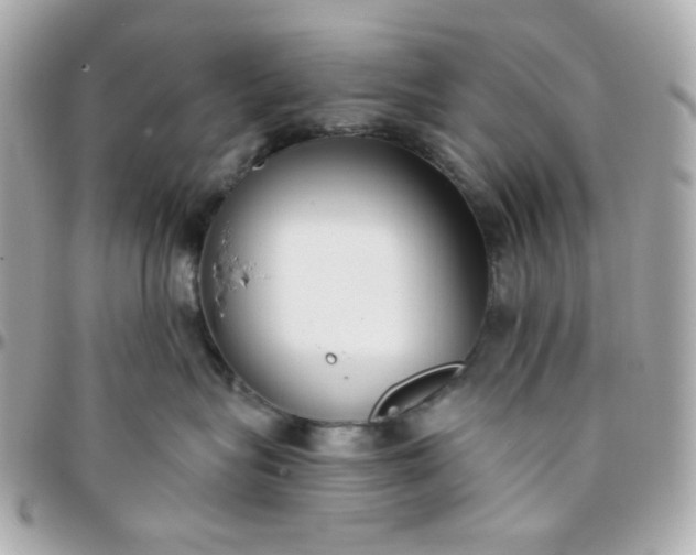 X0000096210575200802011324