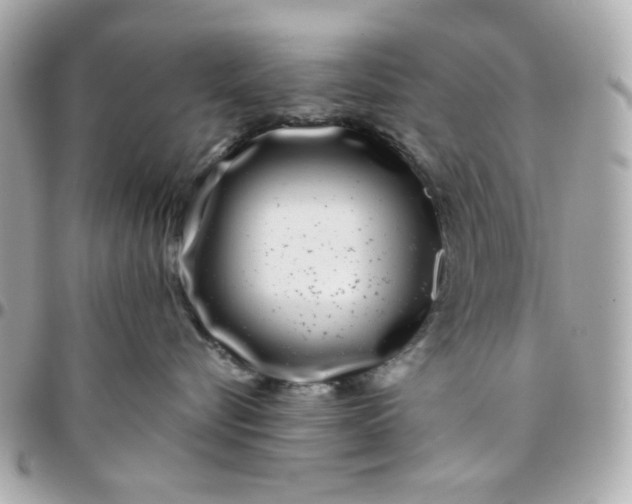 X0000096210576200802011324