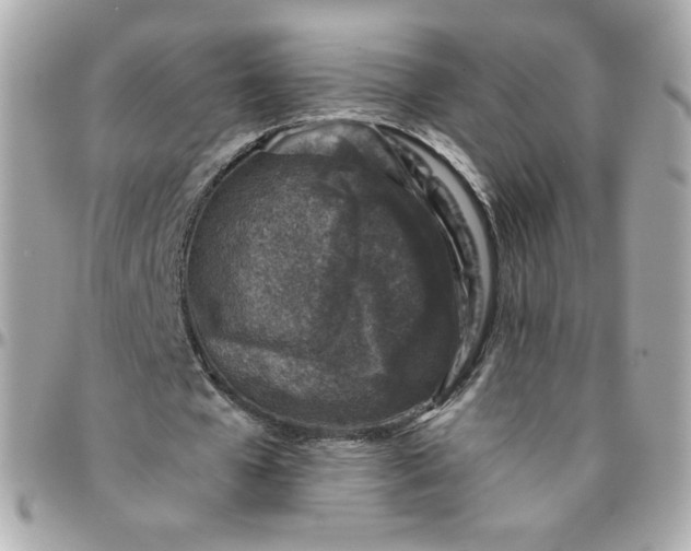 X0000096210577200802011323