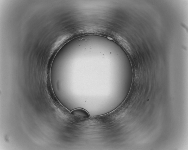 X0000096210578200802011323