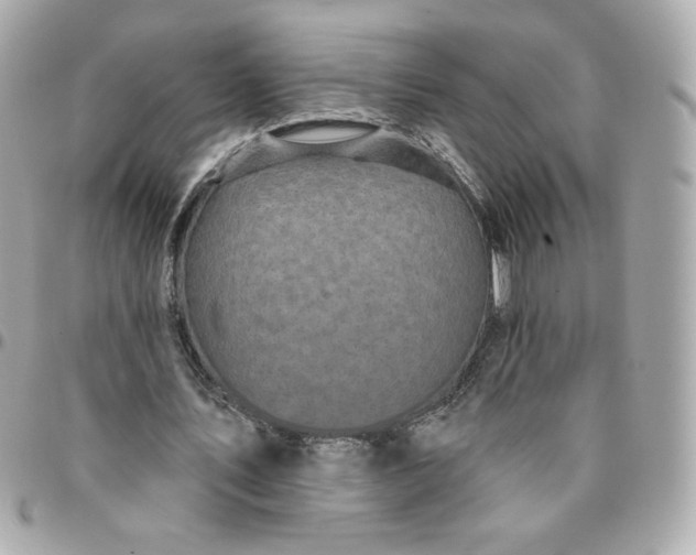 X0000096210579200802011323