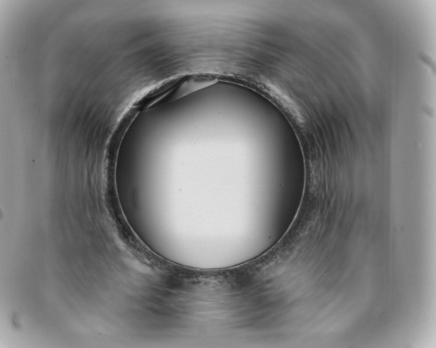 X0000096210580200802011323