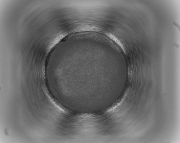 X0000096210581200802011323