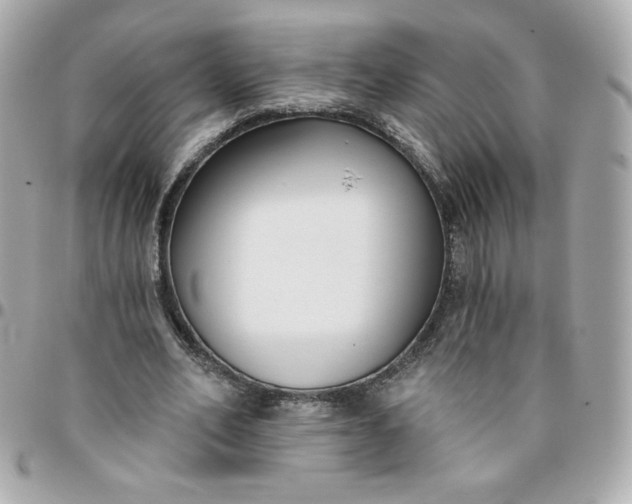 X0000096210582200802011323