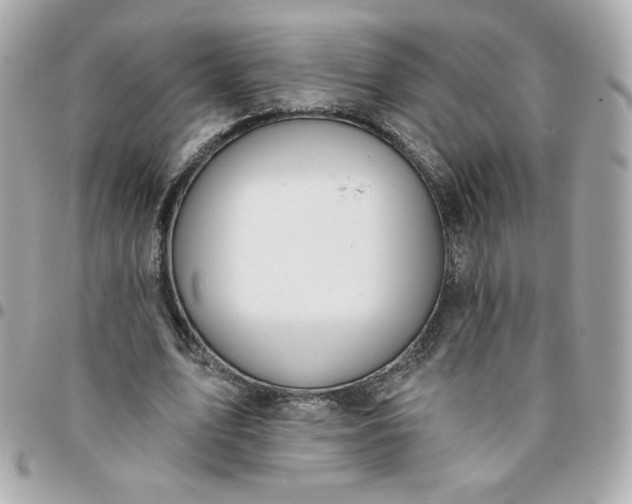 X0000096210583200802011323