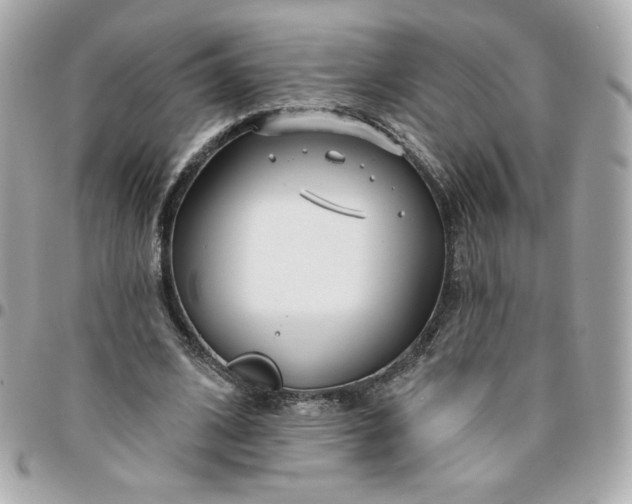 X0000096210584200802011323