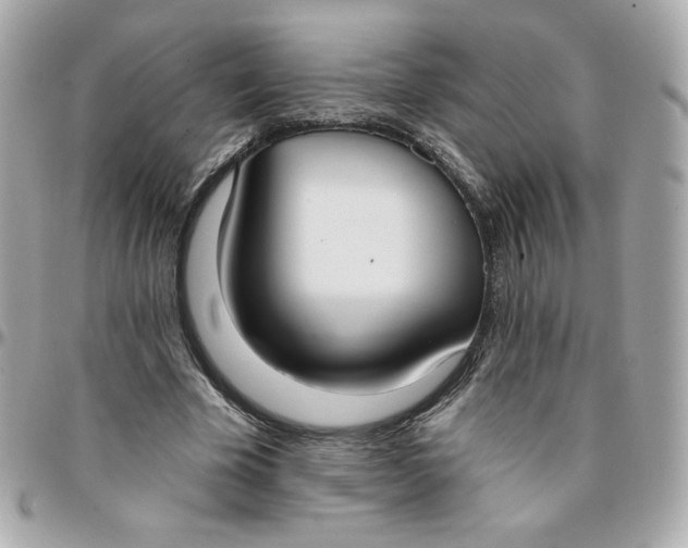 X0000096210585200802011323