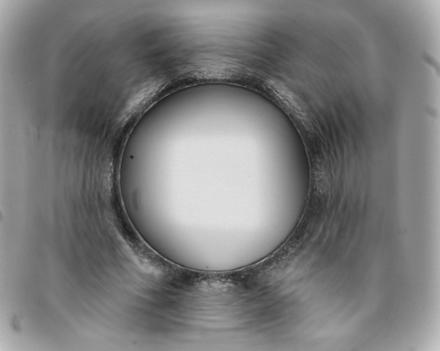 X0000096210586200802011323