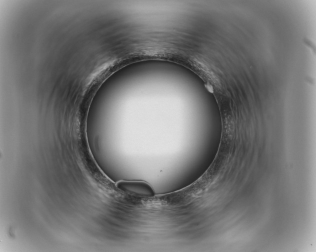 X0000096210587200802011323