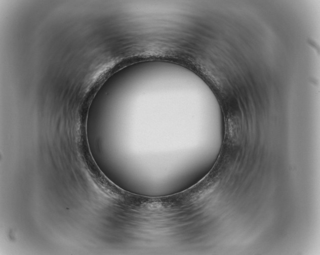 X0000096210588200802011323