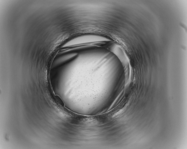 X0000096210589200802011323