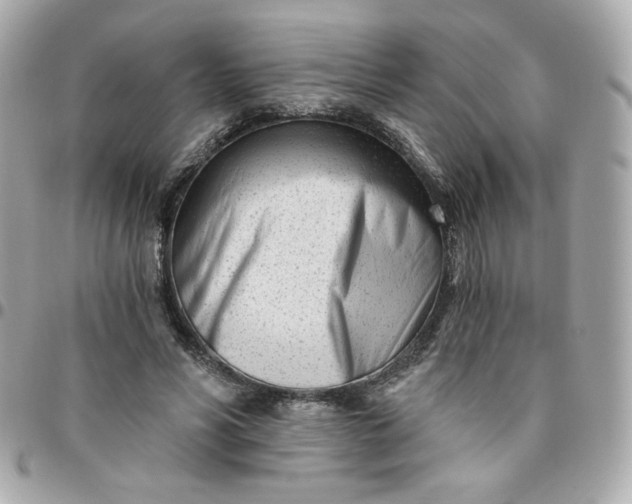 X0000096210590200802011323