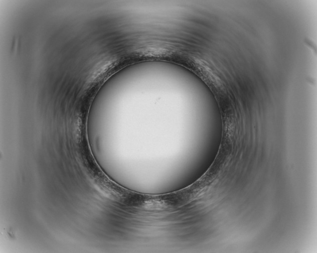 X0000096210591200802011323