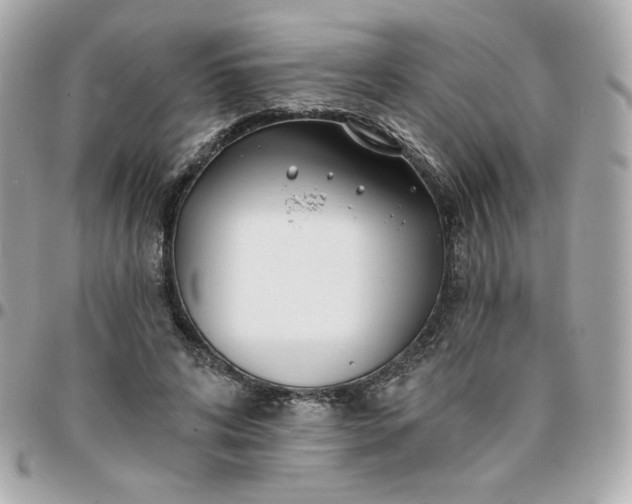 X0000096210592200802011323