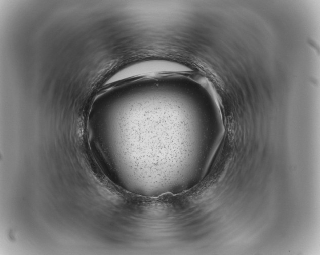 X0000096210593200802011323